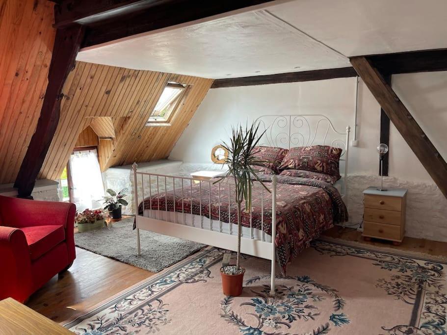 Le Petit Fleur - The Little Flower, Cosy Cottage Saint-Michel-de-Montjoie Екстериор снимка
