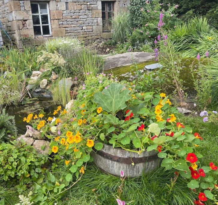 Le Petit Fleur - The Little Flower, Cosy Cottage Saint-Michel-de-Montjoie Екстериор снимка