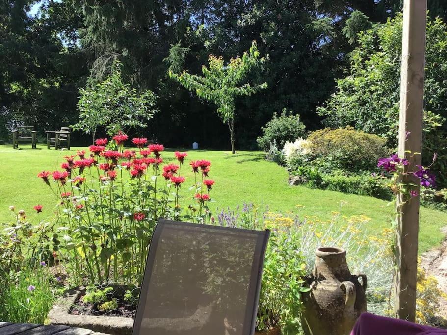 Le Petit Fleur - The Little Flower, Cosy Cottage Saint-Michel-de-Montjoie Екстериор снимка