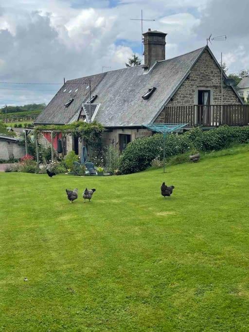 Le Petit Fleur - The Little Flower, Cosy Cottage Saint-Michel-de-Montjoie Екстериор снимка